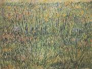 Vincent Van Gogh Pasture in Bloom (nn04) oil painting picture wholesale